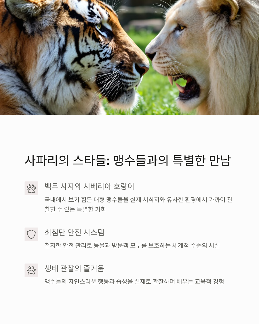 에버랜드 자유이용권으로 사파리 즐기기! 대기 없이 즐기는 법