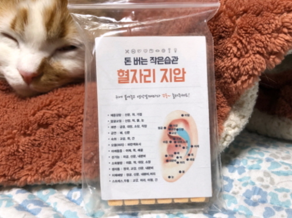 귀지압패치