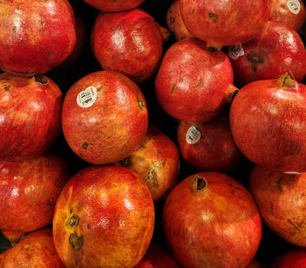 항산화 효과 석류