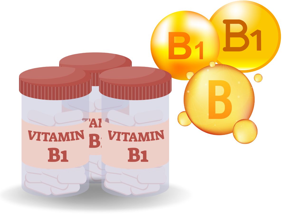 비타민B1 티아민