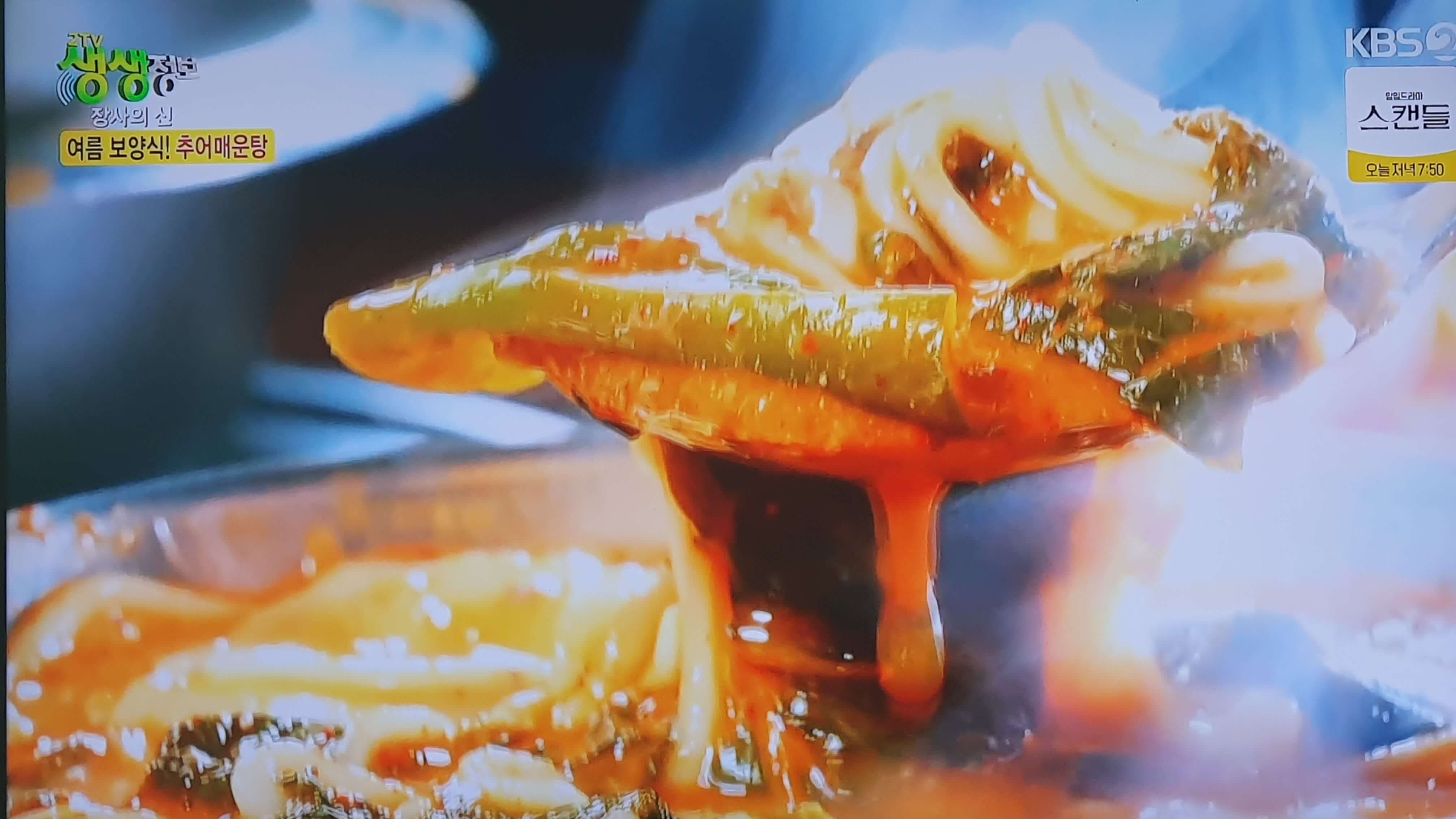 생생 정보통 맛집 식당 정보