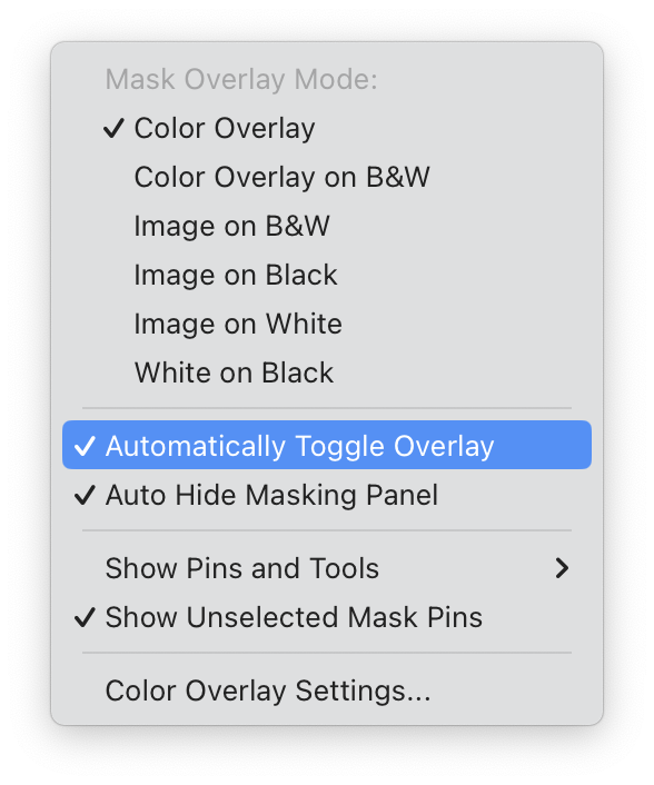 어도비 라이트룸 클래식 Automatically Toggle Overlay
