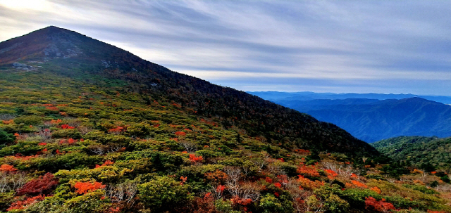 국립공원 실시간 CCTV
