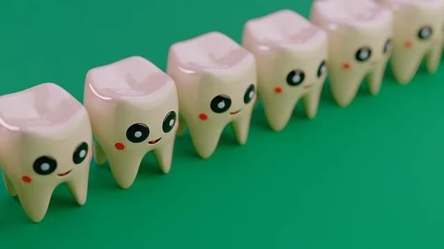 치과 도재 수복물 제작을 위한 핵심 지침: 성공적인 도재 취급 노하우 part.2