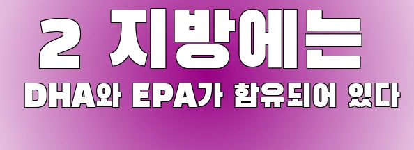  2 지방에는 DHA와 EPA가 함유되어 있다