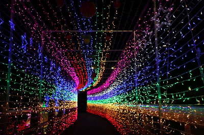 청송사과축제 청송여행 사진