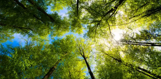 색깔이 건강에 미치는 영향