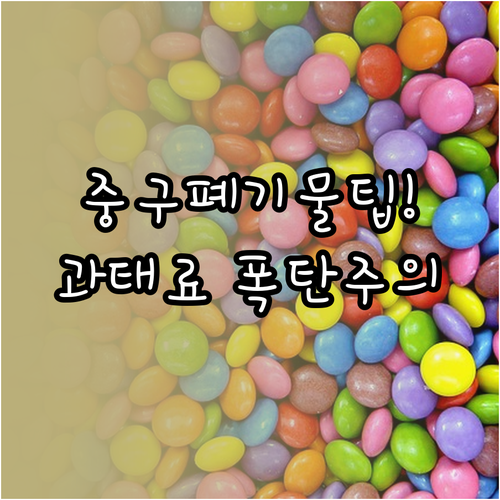 대전 중구 대형폐기물 무단 투기 과태..