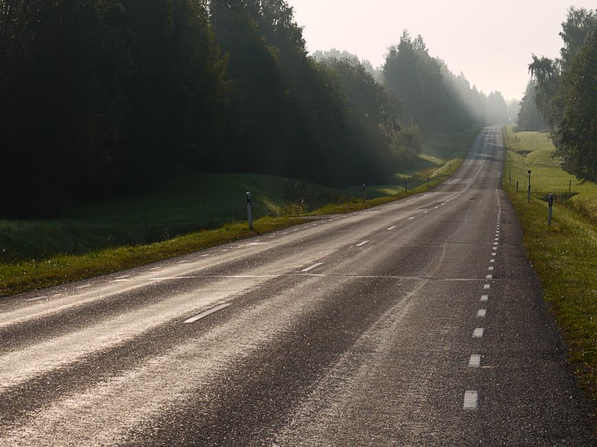 Long, empty road through a misty forest and green meadows at sunrise, creating a serene and peaceful scene.