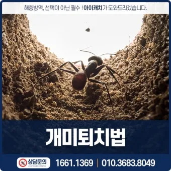 해충 퇴치 개미 박멸 설탕과 베이킹소다 통로 차단_14