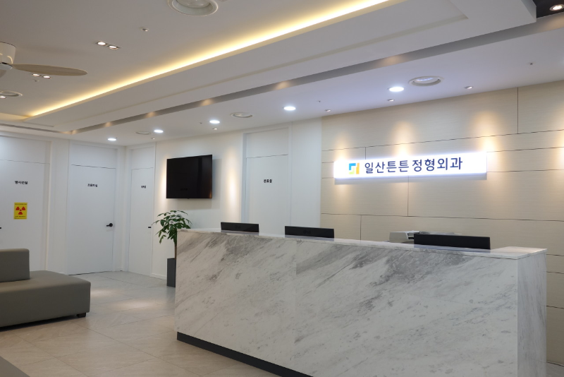 고양시 주엽1동 정형외과 유명하고 잘하는 곳 추천 TOP 5