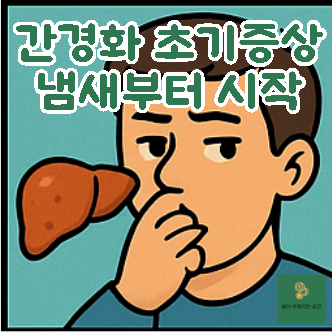 간경화 초기증상 냄새