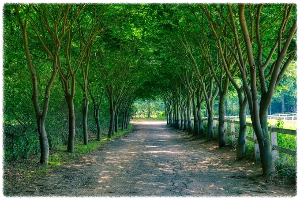 아그로랜드 태신목장