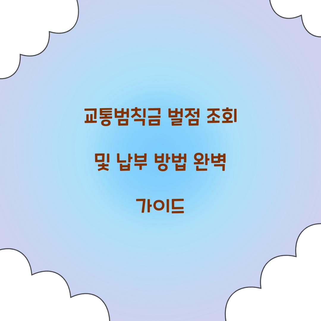교통범칙금 벌점 조회