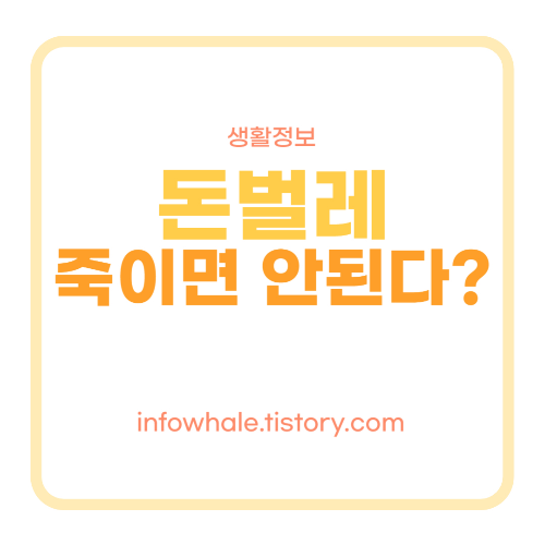 돈벌레죽이면