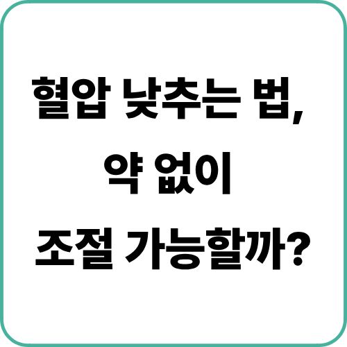 혈압약 먹지않고 혈압 낮추는 방법 효과적인 식단 관리 총정리