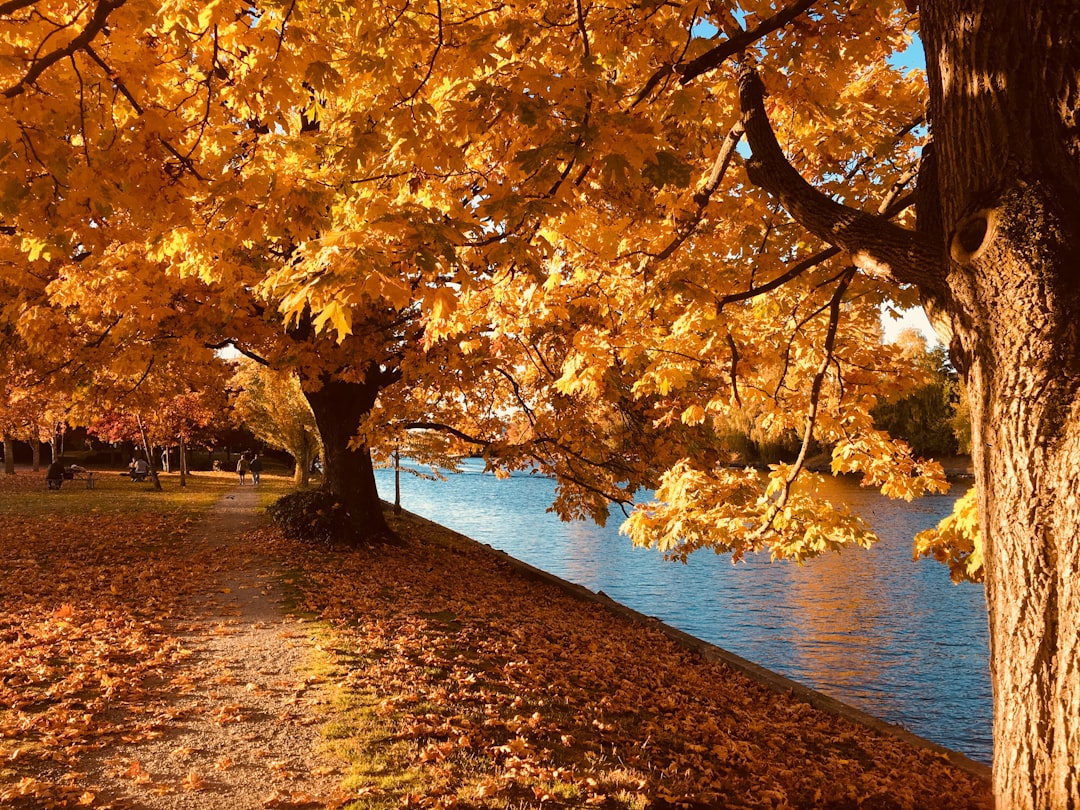 Autumn