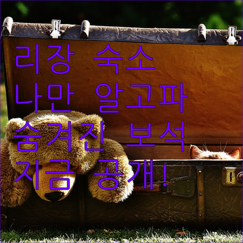 숨겨진 리장의 보석 같은 숙소! 나만