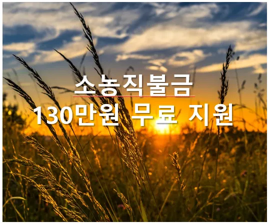 소농직불금