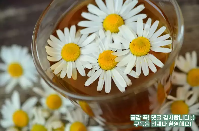 건강이 안 좋을때 몸이 보내는 신호