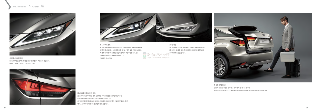 2023 렉서스 RX 카탈로그와 가격정보