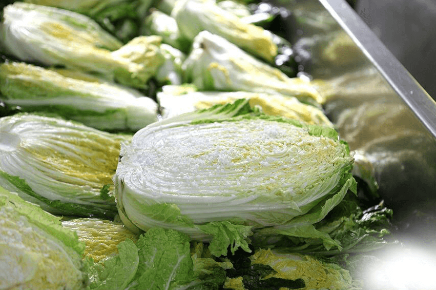 절임배추 고르는 방법 및 구매