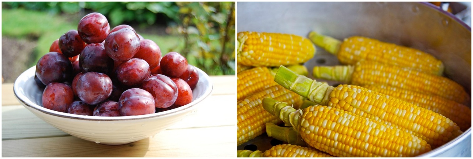 자두와 옥수수 사진