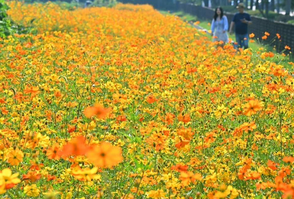 2024 가을 캠핑 준비물