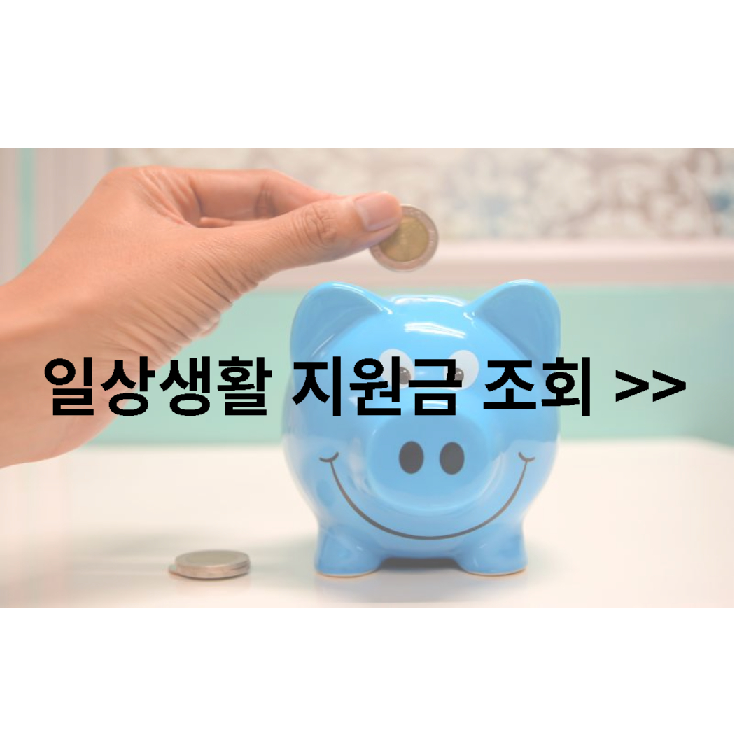 일상생활지원금 바로가기