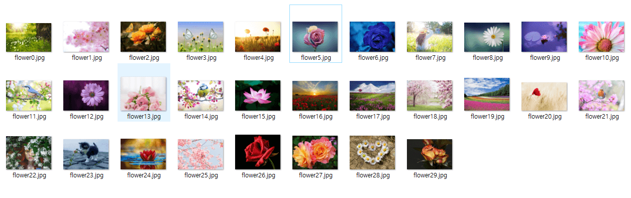 꽃 이미지 30장 준비