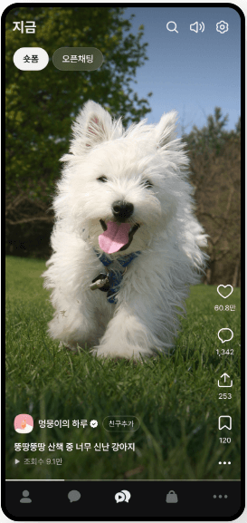 카카오톡 숏폼 동영상