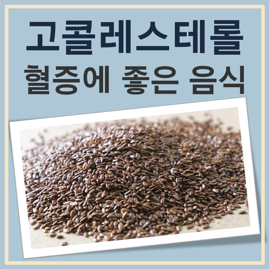 고콜레스테롤 혈증에 좋은 음식 대표 이미지