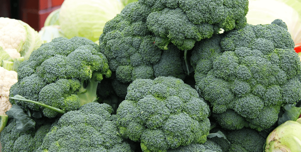 만성 피로에 좋은 음식 사진 - 5