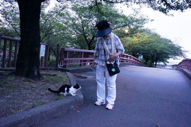 성공적인 노인 일자리 프로젝트! 실제 사례 & 효과 분석