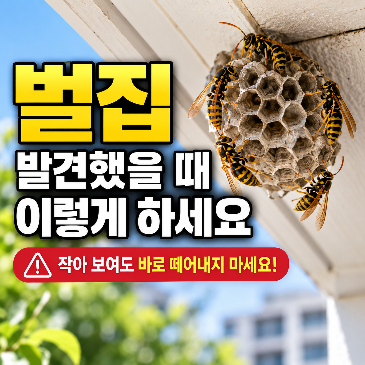 벌집 제거 방법