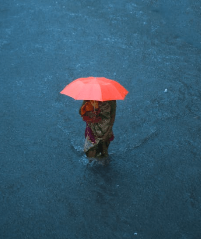 손해평가사 시험일정&amp;#44; 시험과목(전망&amp;#44; 연봉)