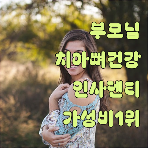 부모님 선물 1위 네이처그랜드 인사덴..