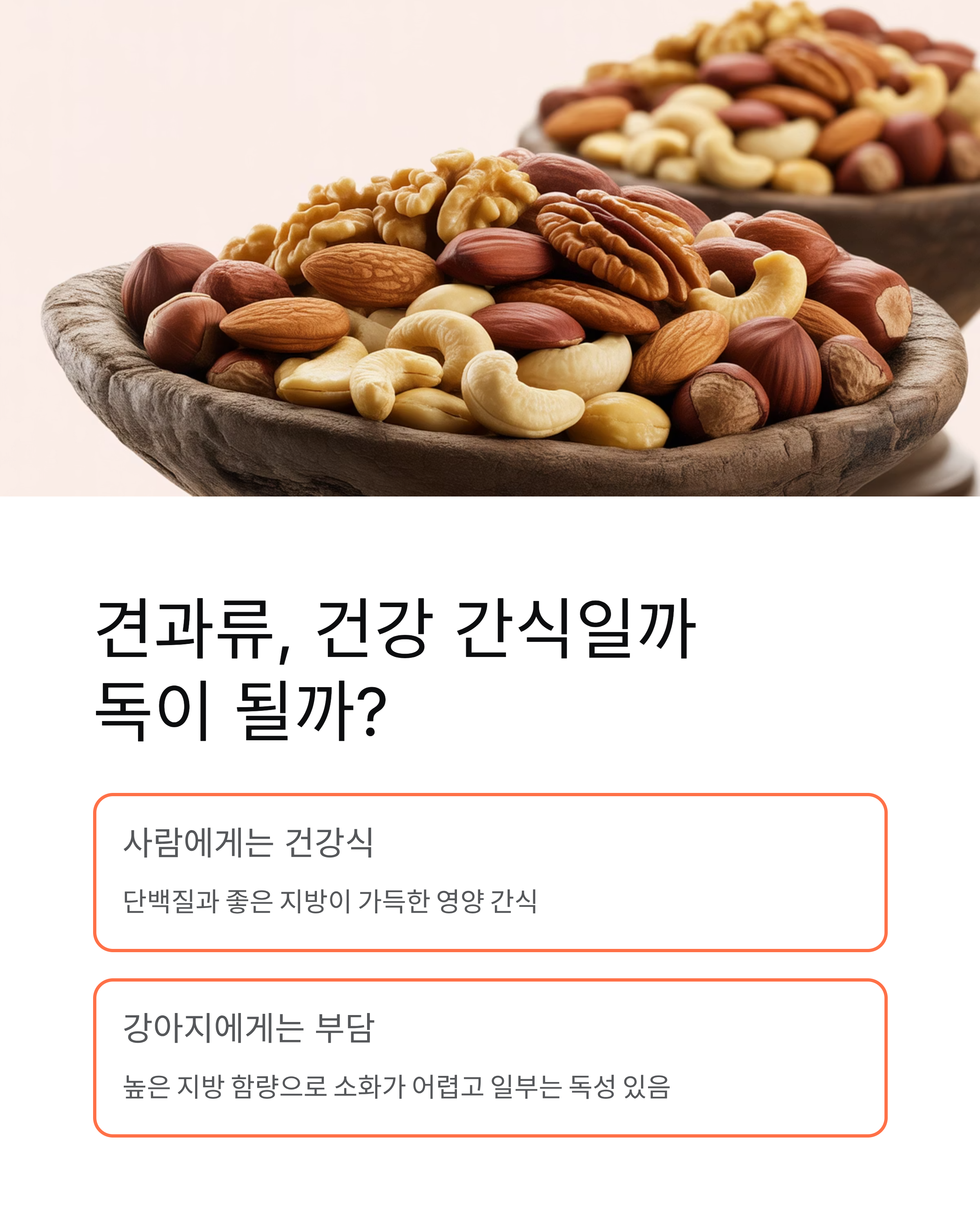 강아지 견과류 급여 완벽 가이드! 이것만은 절대 주지 마세요