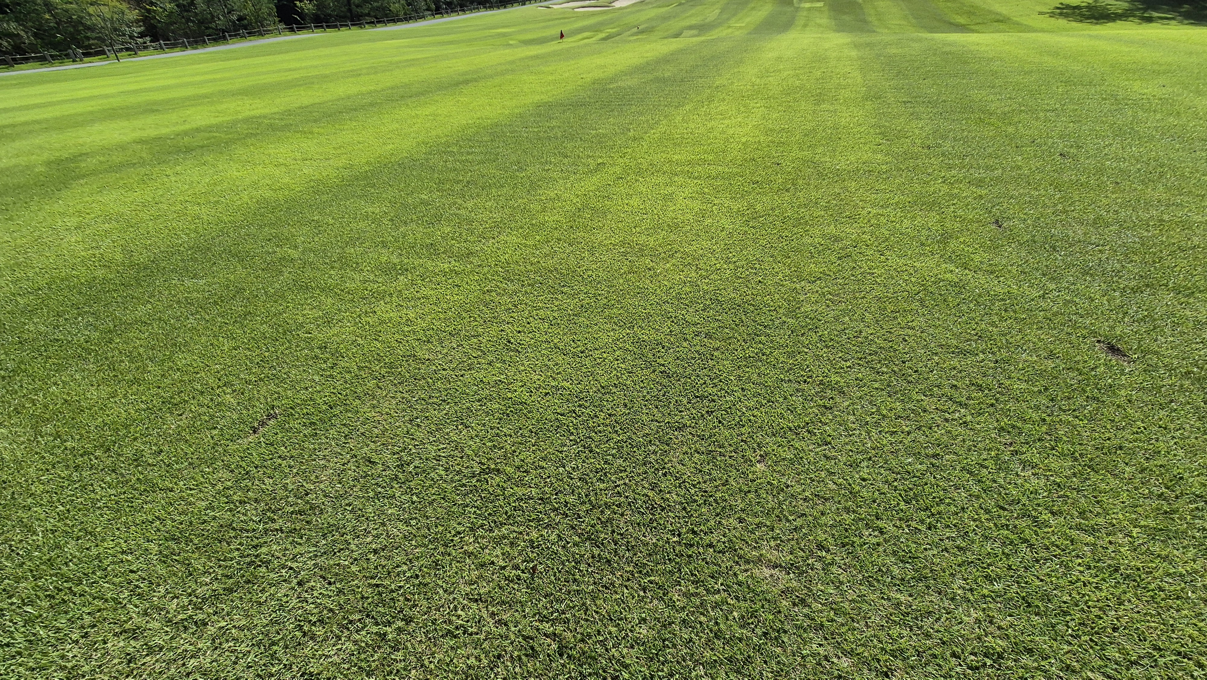 오로라cc 코스 관리 상태