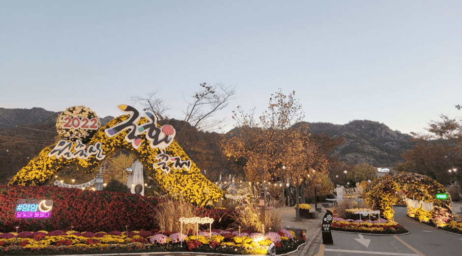 11월 축제 가볼만한 곳 베스트5