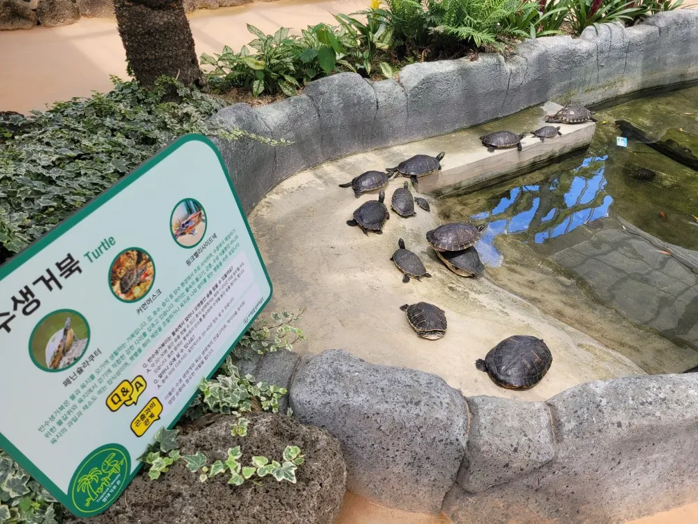 3️⃣ 온대관 우리 주변의 친숙한 곤충