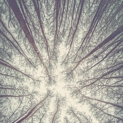 경계성인격증상