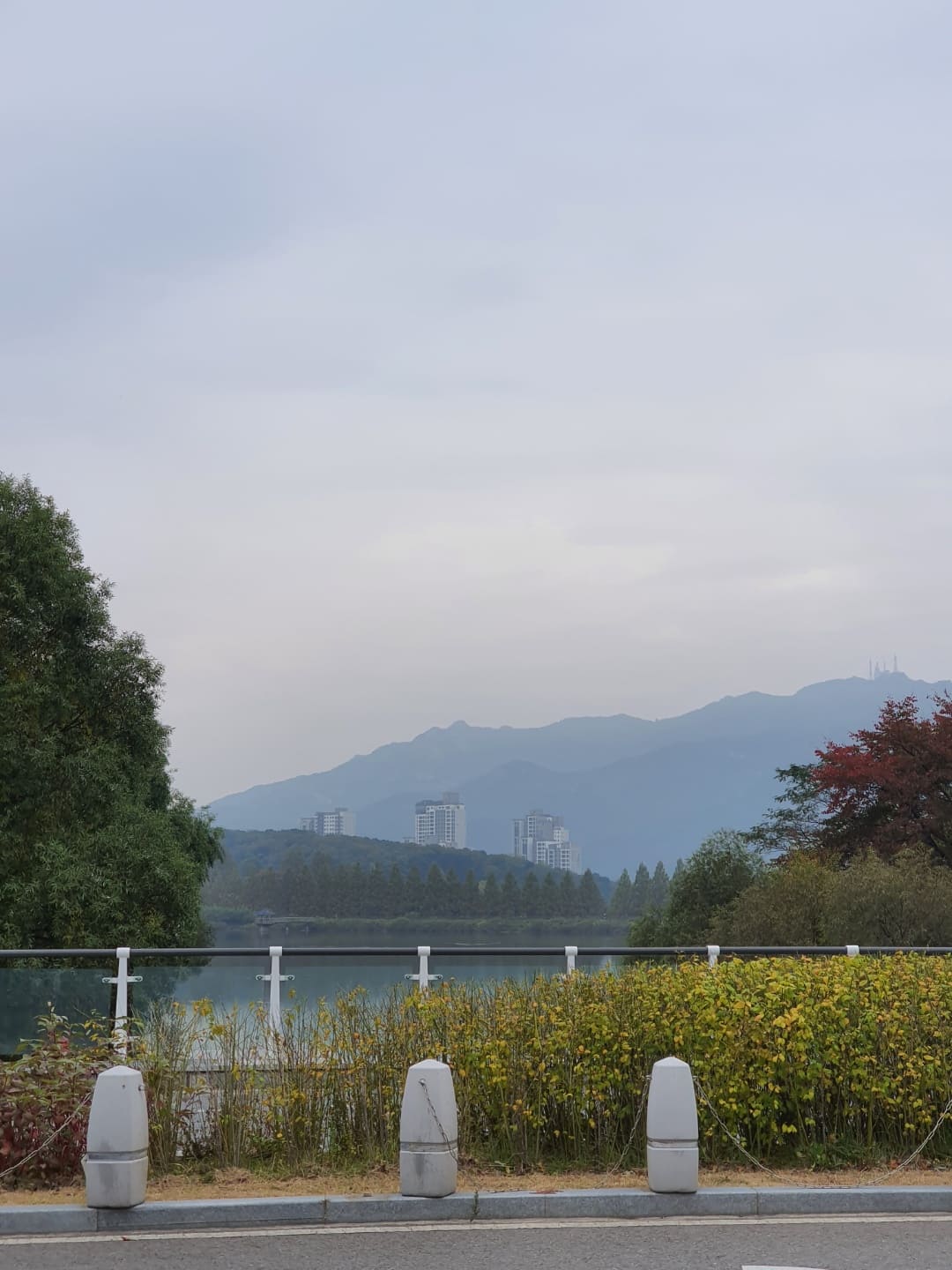 서울대공원 풍경