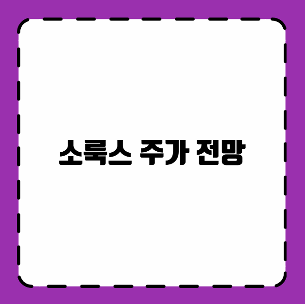 소룩스 주가 전망