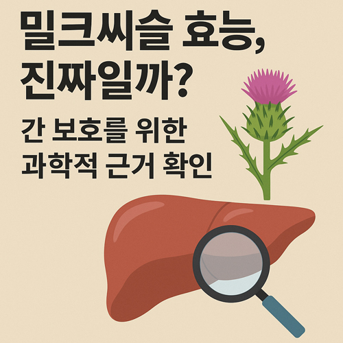 밀크씨슬 효능, 진짜일까? 간 보호를 위한 과학적 근거 확인!