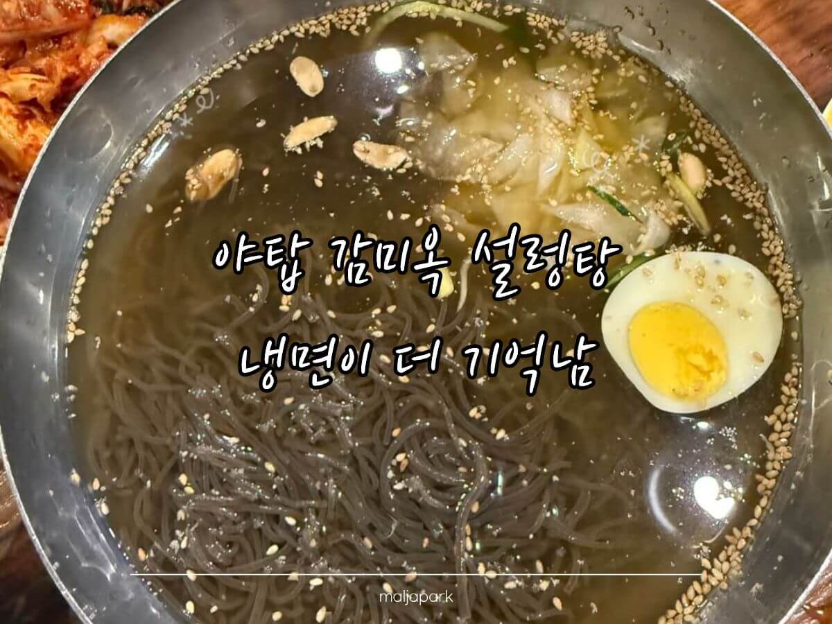 야탑 감미옥 물냉면 비주얼