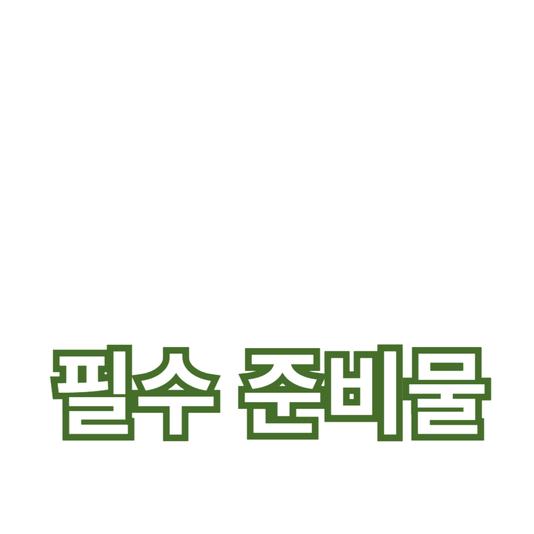 해외 여행을 위한 필수 준비물과 보험 준비 팁