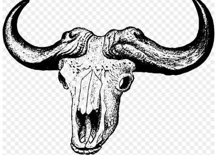 2026년 소띠 신년운세 무료보기