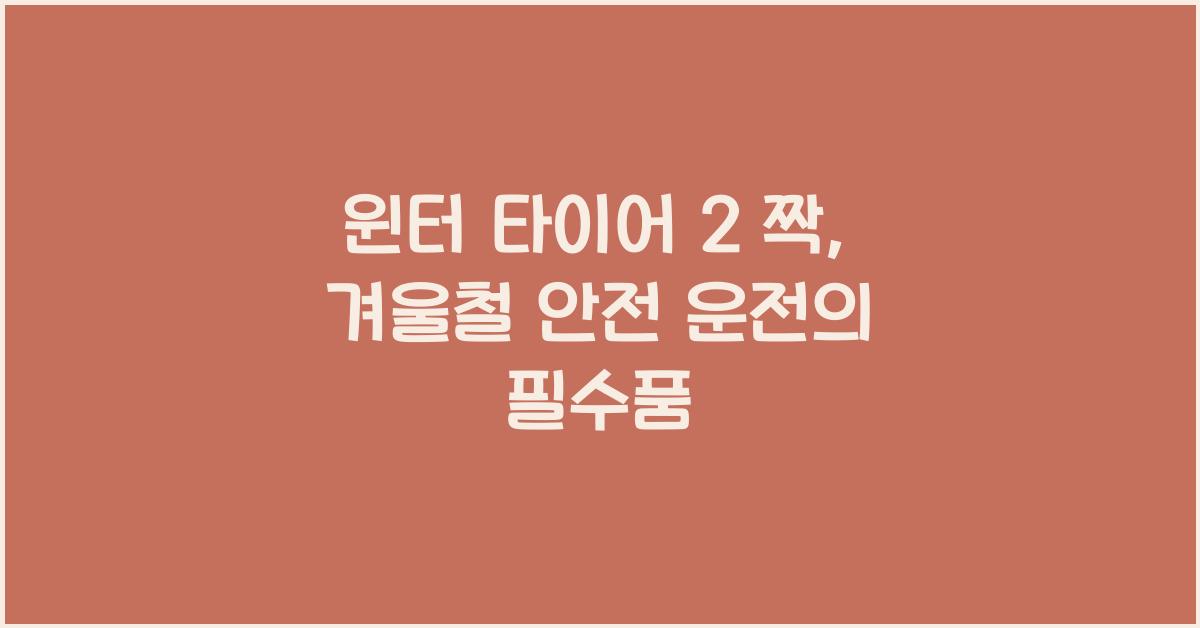 윈터 타이어 2 짝
