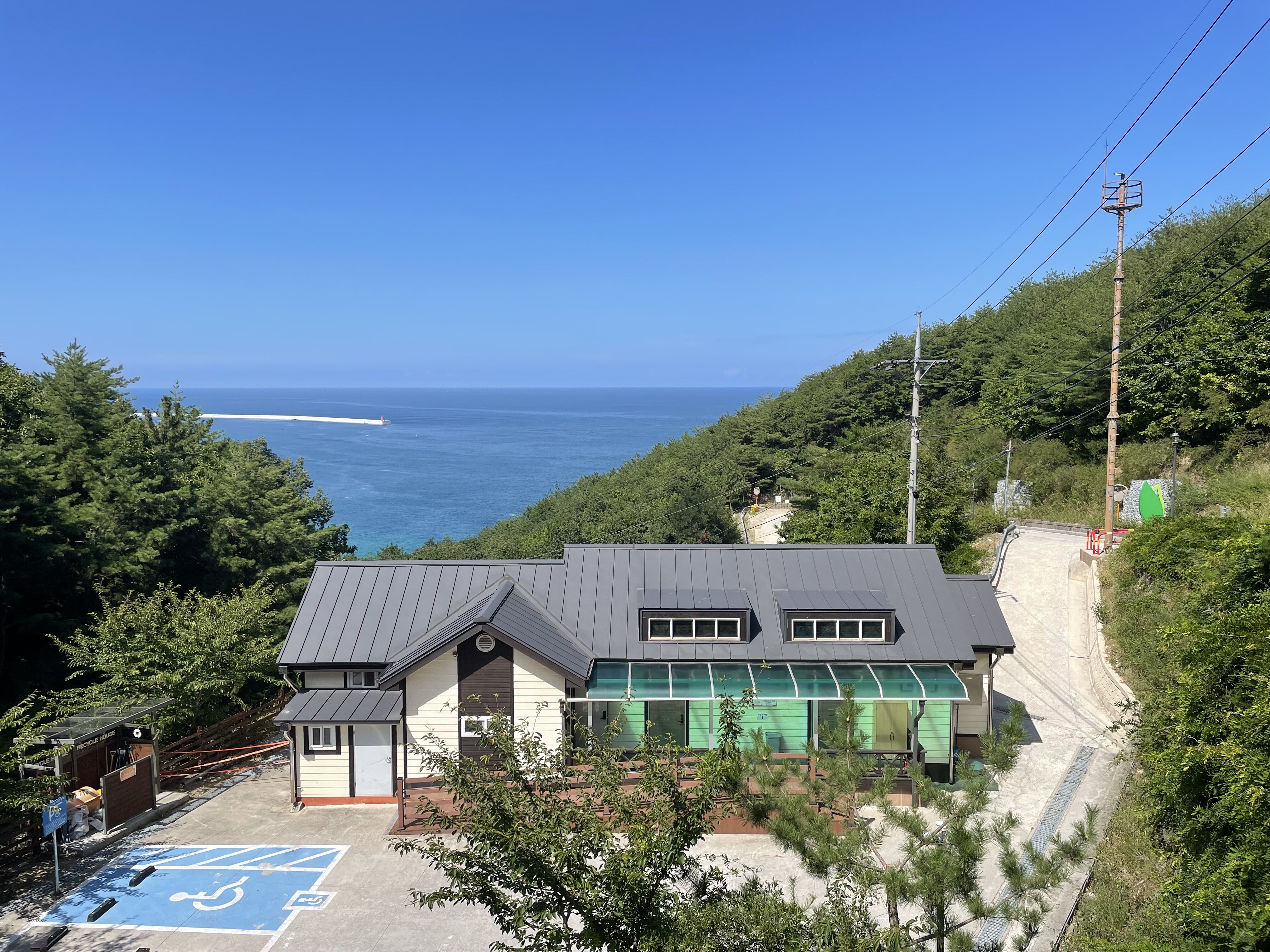 바다동